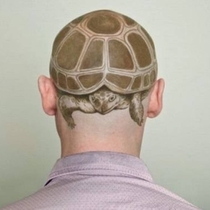 Searched Turtle Head on Google was not disappointed