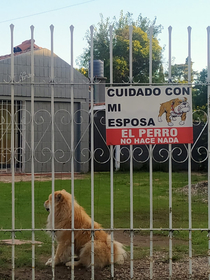 Seen in Argentina the sign translates to Beware of my wife The dog doesnt bite