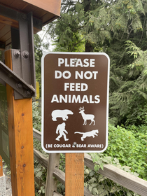 Seen on a hike on a Washington state trail