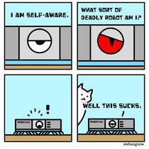 Self-aware robot problems