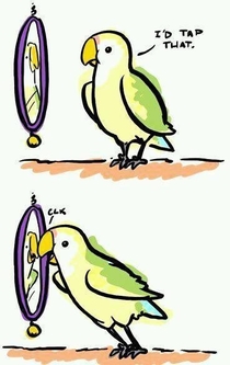 Self-loving Parrot