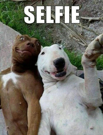 selfie boys