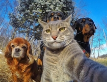 Selfie of Me amp the Gang