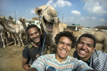 Selfie with a laughing camel  CreditsAntikka