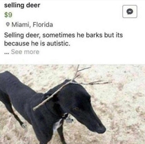 Selling dear