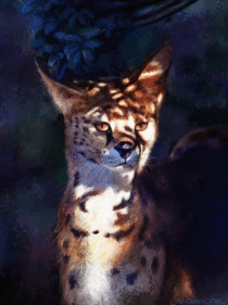 Serval painting Study
