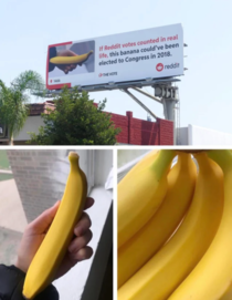 Settle for Banana 