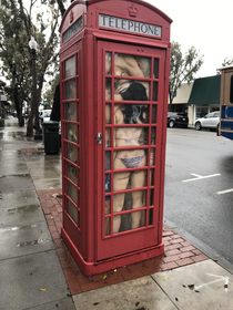 Sex dolls stuffed into a telephone booth Laguna Beach CA