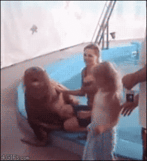 Sexual harassment walrus