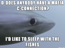 Sexually Awkward Shark