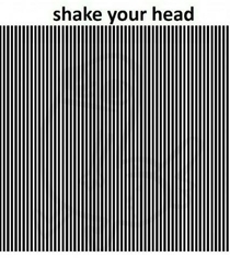 Shake your head
