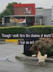 Shame upon KFC