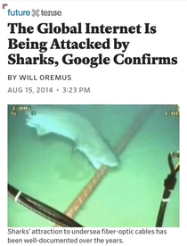 Shark Attack will have a new meaning