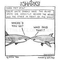 Shark Fact