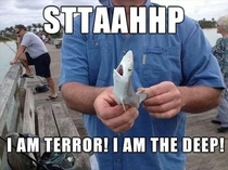 Shark Week commence