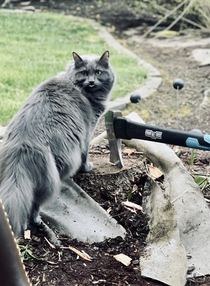 She found an axe amp did a blep Terrifying