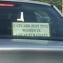 She had about  cats in her car when I pulled beside her