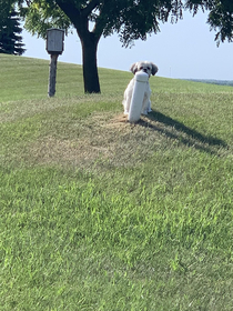 She knew I was leaving so she tried to hide