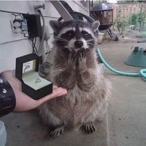 She said yes