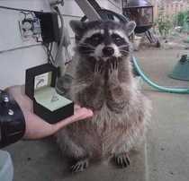 She said yes