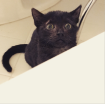 She thinks Im drowning every time I take a bath