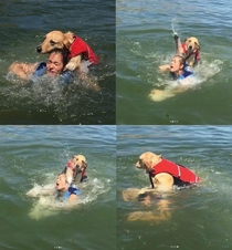 She took the dog out for his first swim