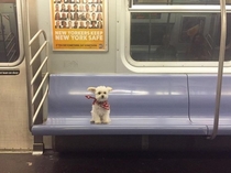 She took the midnight train going anywhere