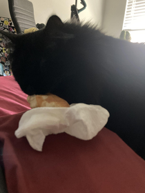 Shes back at it again but this time with my donut