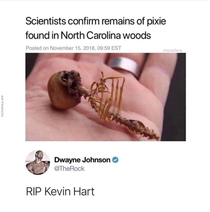 SHORT lived career