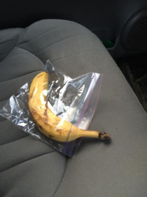Should I explain how bananas work to my coworker or should I just quit my job