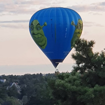 Shrek just flew past my window I was watching Netflix and eating peanuts now I feel judged 