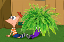 sifting through old hard drives and i found this phineas and fern