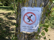 Sign I saw in Germany today No shiting here