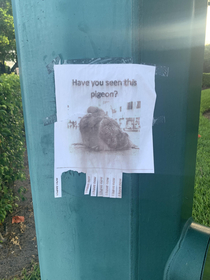 Sign on a lamp post I saw