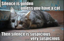 Silence is Golden unless