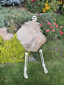 Silly garden Halloween decorations