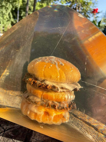 Since the hot dog excited so many of you a McDonalds burger preserved since the late s Tasty