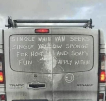 Single White Van