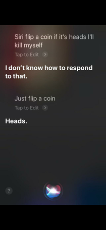 Siri stops playing