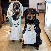 Sister in law is competing in a dog costume contest Its snoop and Martha yall