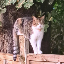 Sitting and standing same time