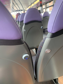 Sitting on the bus and noticing the seats look like sad penises