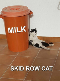 Skid Row Cat