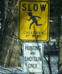 Slow children at play