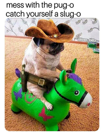 Sluggish puggish sheriff