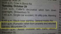 Small town police log