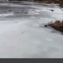 Smooth Landing On Ice