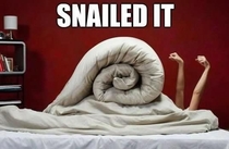 Snailed It