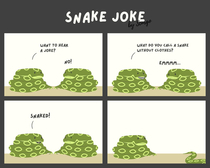 Snake Joke