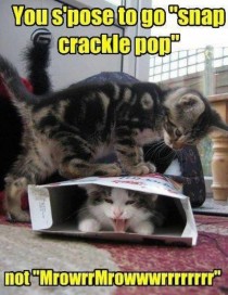 Snap Crackle Meow